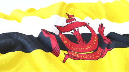 3d render, Realistic Wavy Flag of Brunei .
