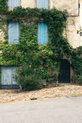 old facade house with the wall covered with green ivy