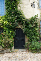 Old wooden door with the wall covered with green ivy