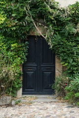 Old wooden door with the wall covered with green ivy