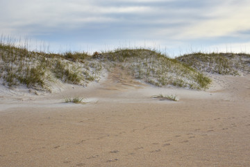 Fototapeta na wymiar Sand Dunes at Fort Macon State Park, located on North Carolina's Crystal Coast