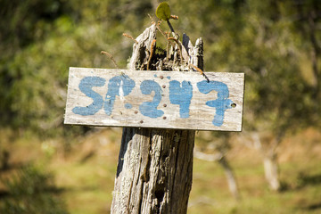 brazilian information boards