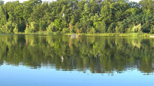Unrecognizable person zip lining over beautiful calm lake water and into green forest in Brampton, Ontario, Canada