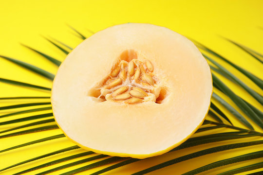 Juicy melon with tropical leaf on color background