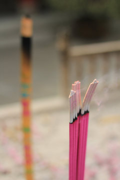 insent china