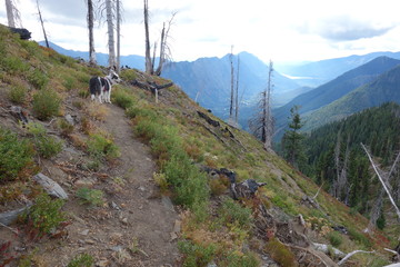 Hiking In Washington State, the Pacific Northwest