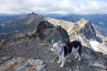 Hiking In Washington State, the Pacific Northwest