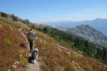 Obraz premium Hiking in the Pacific Northwest, Washington State