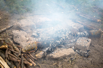 Photo of campfire on glade in forest