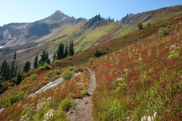 Hiking in the Pacific Northwest, Washington State