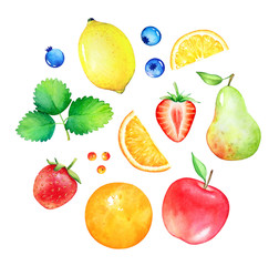 Collection of hand drawn watercolor fruits and berries