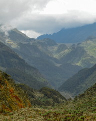 Landscape in the mountains, Rwenzori Mountains, Uganda