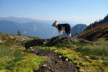 Fototapeta na wymiar Hiking in the Pacific Northwest, Washington State