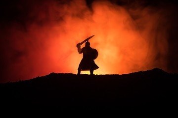 Fighter with a sword silhouette a sky. Medieval knight with sword. Selective focus