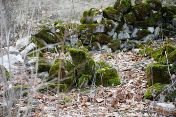 Moss-covered stone. Beautiful moss and lichen covered stone. Bright green moss Background textured in nature. Natural moss on stones in winter forest. Azerbaijan