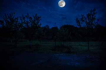 Mountain Road through the forest on a full moon night. Scenic night landscape of dark blue sky with moon. Azerbaijan
