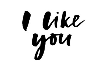 Fototapeta premium slogan i like you phrase graphic vector Print Fashion lettering calligraphy