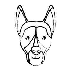 cute dogs design