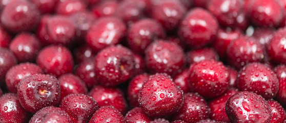 Beautiful sweet cherries close-up with water drops. Pile of washed ripe cherry fruits. Texture of fresh healthy berries full of vitamins and a yummy juice. Panoramic background. Small depth of field.