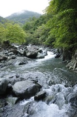 丹沢 早戸川上流