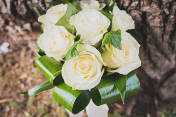 объединение 