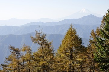富士山遠望