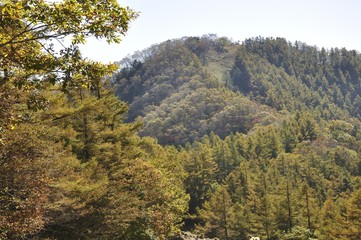 Fototapeta na wymiar 紅葉の七ツ石山