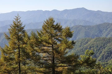 雲取山より秋の大菩薩連嶺