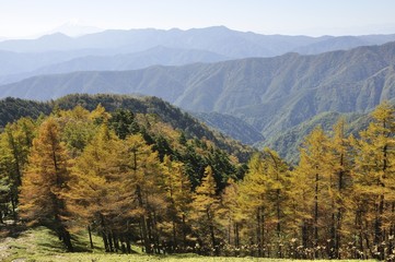 紅葉の雲取山より富士山と大菩薩連嶺
