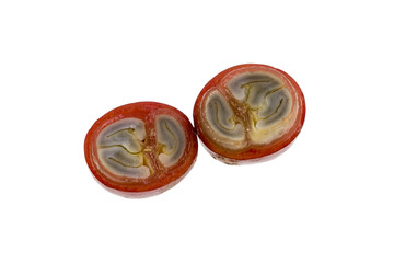 Coffee Cherry Cross-Section