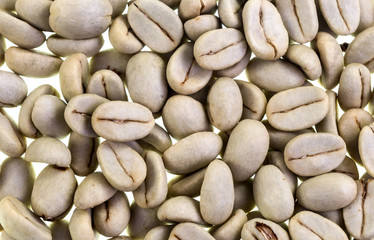 Coffee Bean Drying Stage