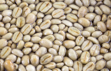 Coffee Bean Mucilage Removal
