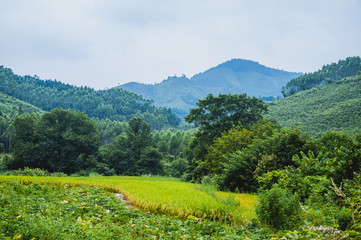 Mountain scenery