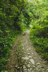 Obraz premium Countryside road scenery