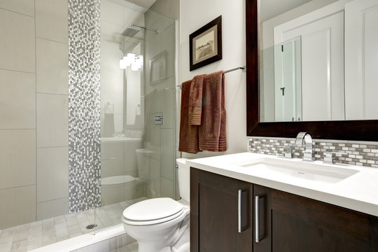 Bathroom modern interior with dark hardwood cabinets and glass door shower