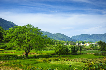 Countryside and mountains scenery in autumn