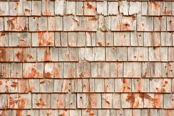 Rusty Orange Shingles