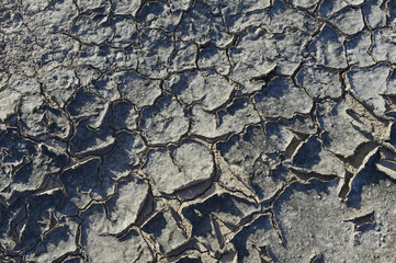 The parched soil