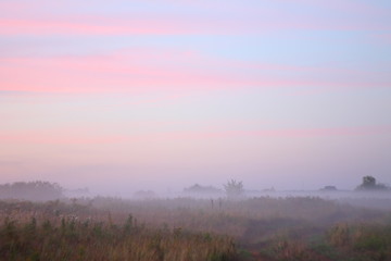 dawn in meadow