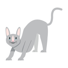 sphynx cat design