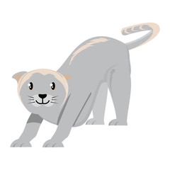 cute cat design