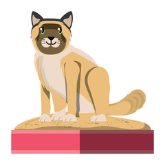 cute cat design