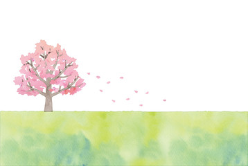 Obraz na płótnie Canvas 桜の木のイラスト