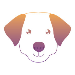 cute dogs design