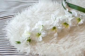 Fototapeta na wymiar White flower on Bed