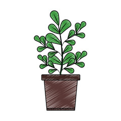 Plant in pot isolated scribble