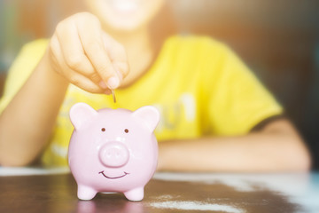 Female hand putting coin in piggy bank. Save money and financial investment