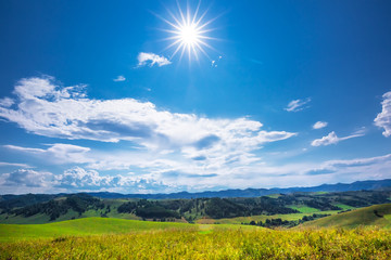 Obraz premium The mountains and hills. Altai