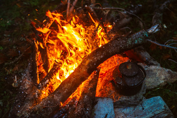 Boiling of tea in kettle on bonfire with large firewood. Tea drinking in open air. Active outdoor...