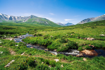 Mountain creek in green valley among rich vegetation of highland in sunny day. Big boulder in fast...